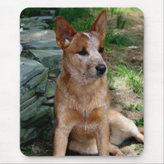 Tapis De Souris Chien de bétail