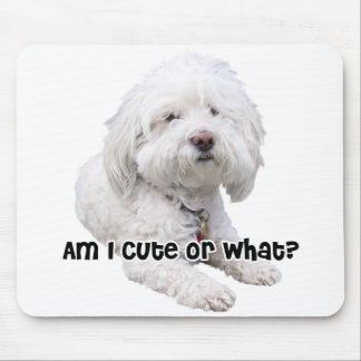 Tapis De Souris Chien de Bichon Frise