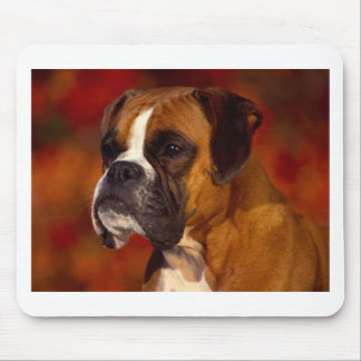 Tapis De Souris Chien de boxeur