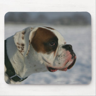 Tapis De Souris Chien de boxeur dans la neige