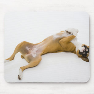 Tapis De Souris Chien de boxeur s'étendant sur elle de retour sur