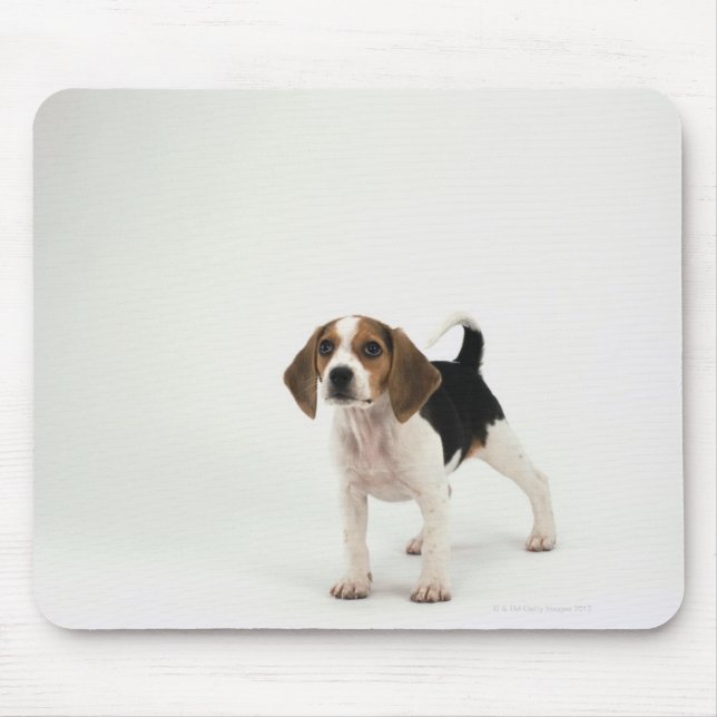 Tapis De Souris Chien de chien (Devant)