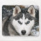 Chien de chiot sibérien Husky à Mousepad