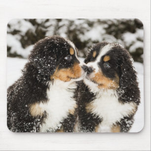 Tapis De Souris Chien de Montagne Bernese Chien Chien Chien Chien