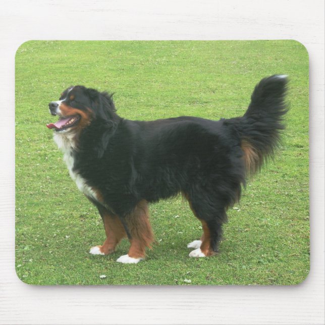 Tapis De Souris Chien de montagne de Bernese (Devant)