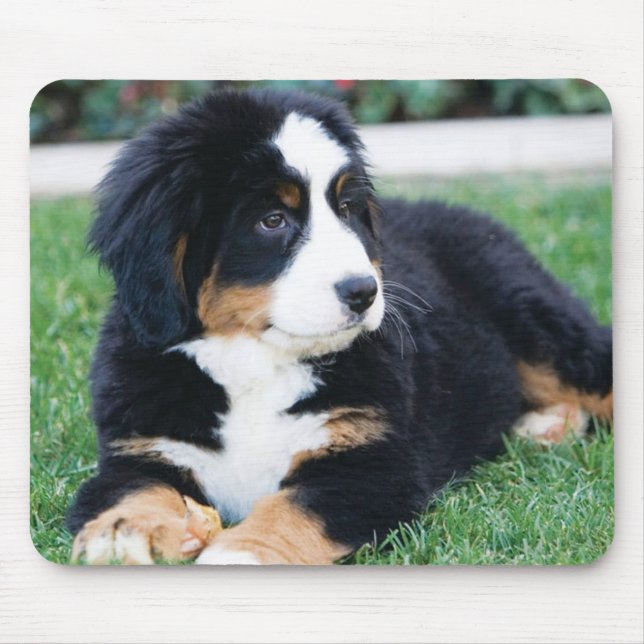 Tapis De Souris Chien de montagne de Bernese (Devant)