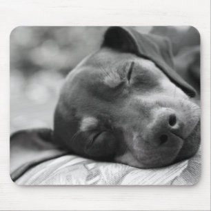 Tapis De Souris Chien de Pinscher miniature de sommeil