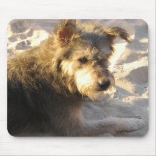 Tapis De Souris Chien de plage thaïlandais