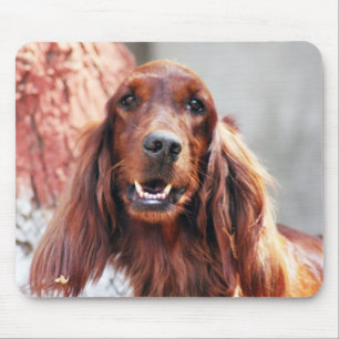 Tapis De Souris Chien de poseur irlandais