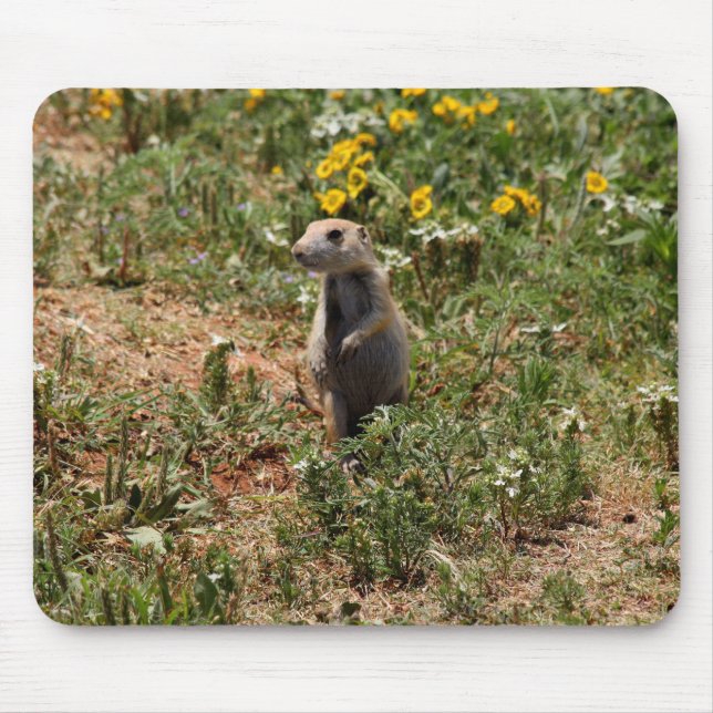 Tapis De Souris Chien de Prairie Solo (Devant)
