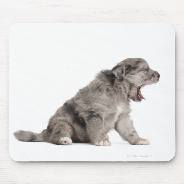 Tapis De Souris Chien de Pyrénées (4 semaines) (Devant)