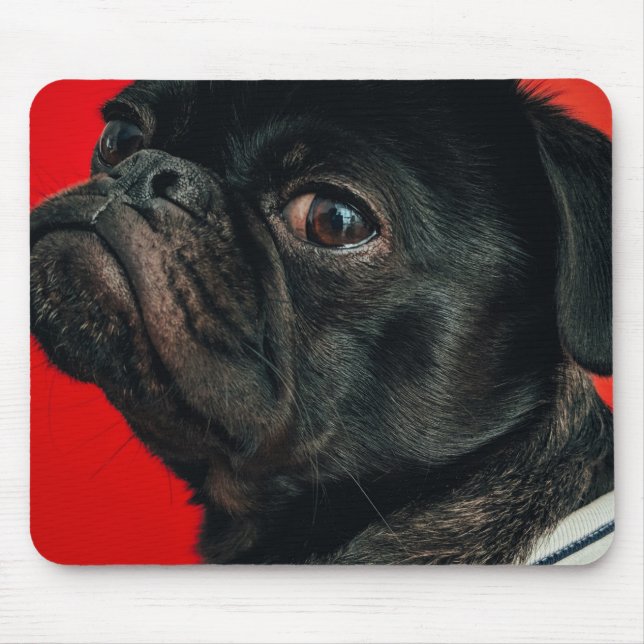 Tapis De Souris chien de rojo (Devant)