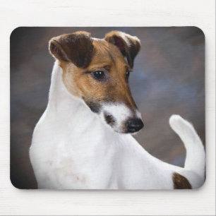 Tapis De Souris Chien de Russell Terrier de pasteur