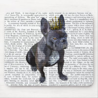 Chien de taureau français