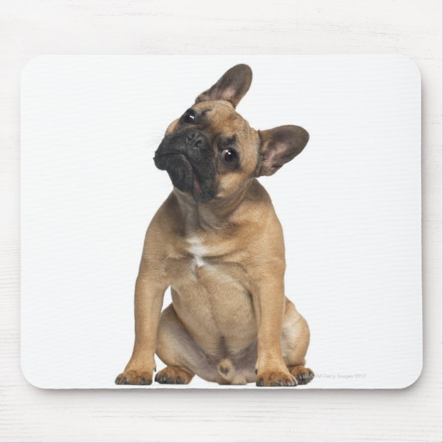 Tapis De Souris Chien de taureau français (7 mois) (Devant)