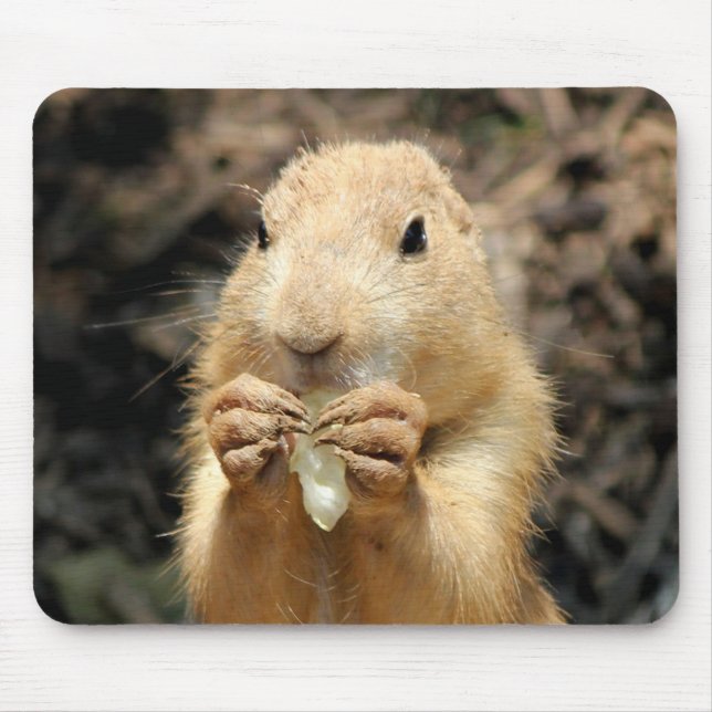 Tapis De Souris Chien des Prairies ayant un snack (Devant)