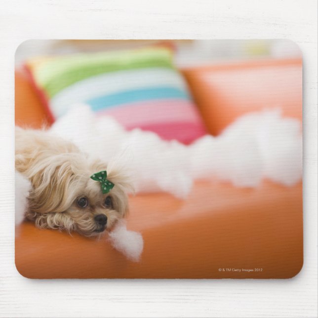 Tapis De Souris Chien destructeur (Devant)