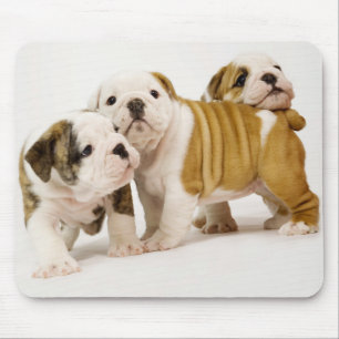 Tapis de souris Chien en anglais Bulldog Puppy Bla