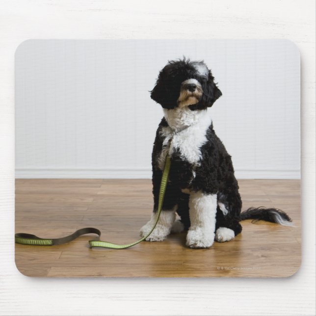 Tapis De Souris chien en laisse (Devant)