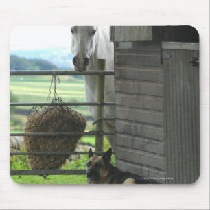 Tapis De Souris Chien et cheval au ranch dans Menton, France