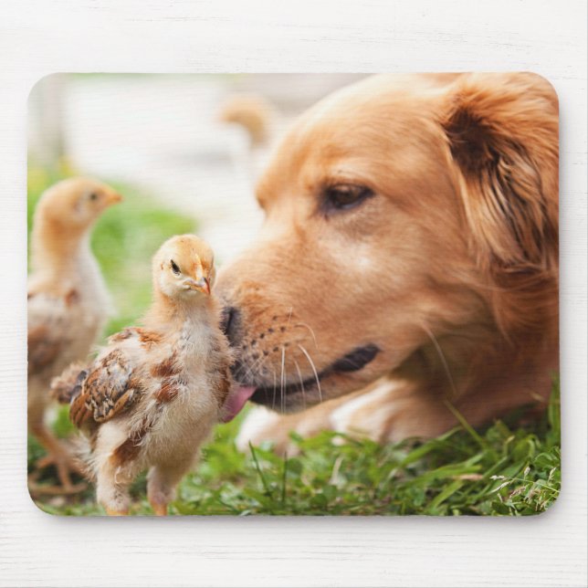 Tapis De Souris Chien et poussin (Devant)