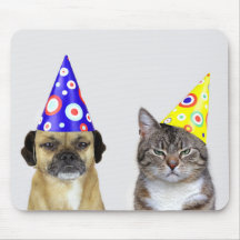 Chien frustré et chat avec chapeaux de fêtes