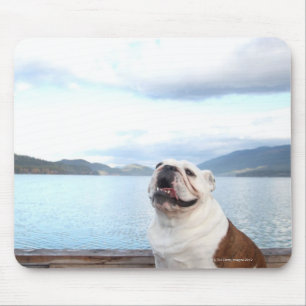 Tapis De Souris chien heureux de taureau se reposant sur la