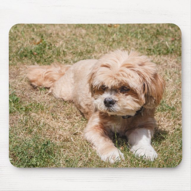 Tapis De Souris Chien Lhasa Apso (Devant)