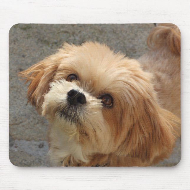 Tapis De Souris Chien Lhasa Apso dans un jardin (Devant)
