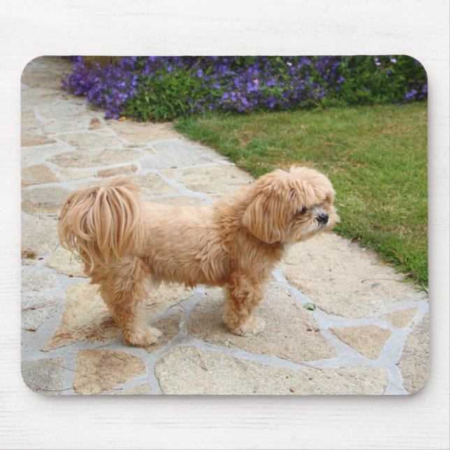 Tapis De Souris Chien Lhasa Apso dans un jardin (Devant)
