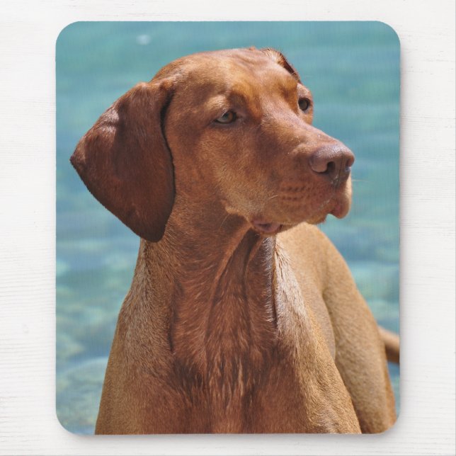 Tapis De Souris Chien Magyar Vizsla (Devant)