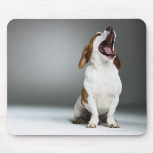 Tapis De Souris Chien mélangé de race baîllant, plan rapproché