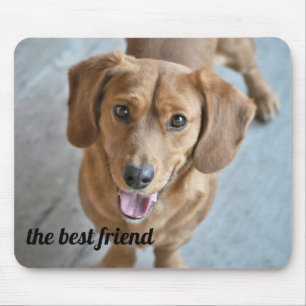 Tapis De Souris Chien mignon