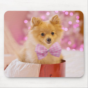 Tapis De Souris Chien mignon avec cou rose Photographie de Noël