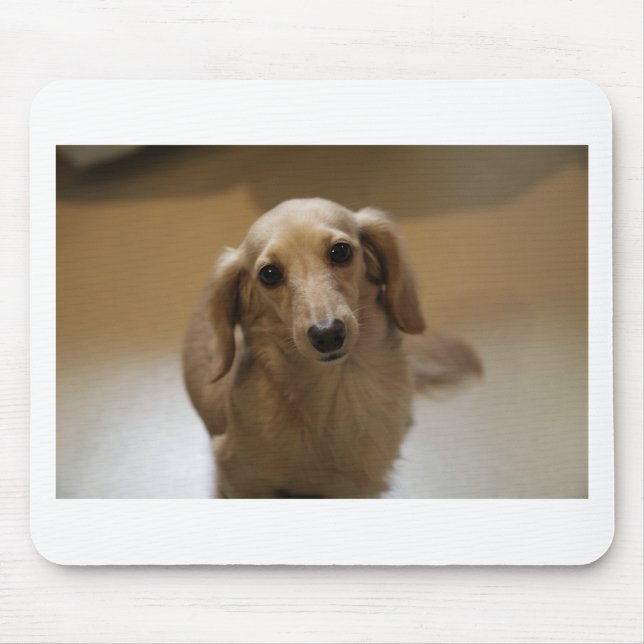 Tapis De Souris Chien mignon dachschund (Devant)