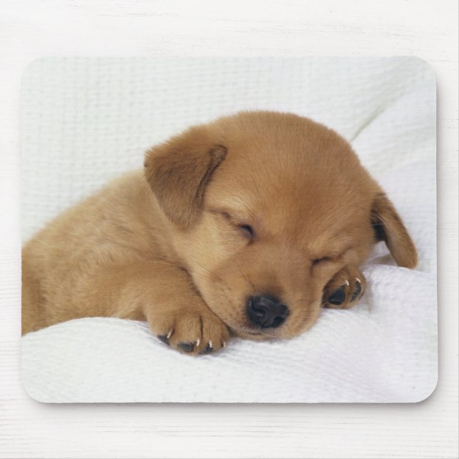 Tapis De Souris Chien mignon de bébé (Devant)