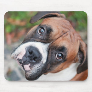 Tapis De Souris Chien mignon de boxeur