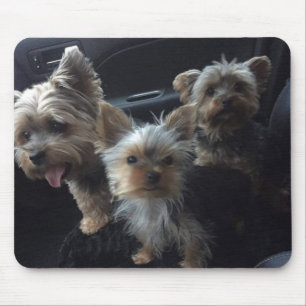 Tapis De Souris Chien Mousepad