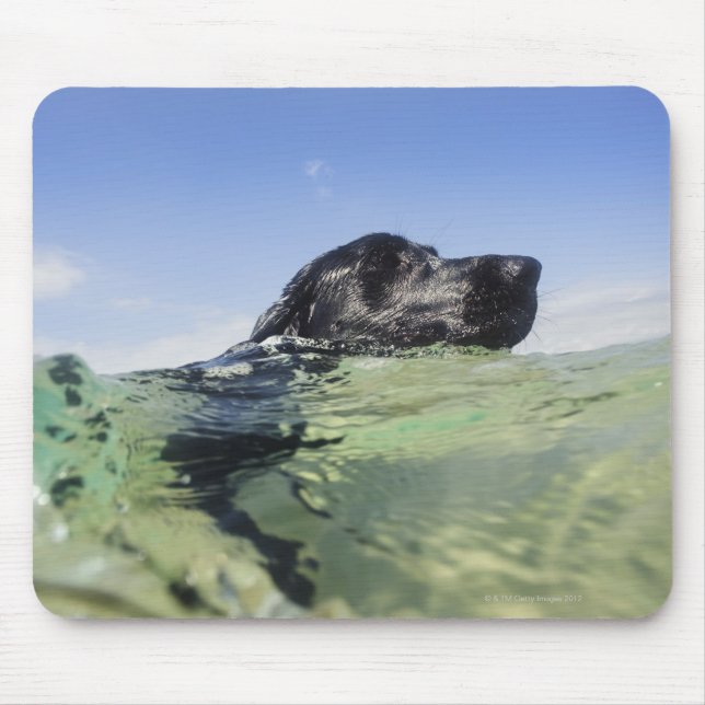 Tapis De Souris Chien nageant dans l'eau (Devant)