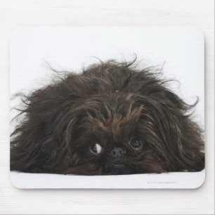 Tapis De Souris Chien noir de Pekingese se couchant