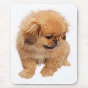 Tapis de souris Chien Pékinois Puppy Love