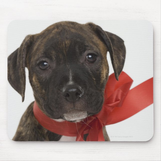 Tapis De Souris Chien Pitbull portant un ruban rouge (Devant)