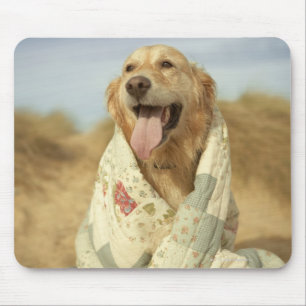 Tapis De Souris Chien portrait sur la plage sous couette. Automne