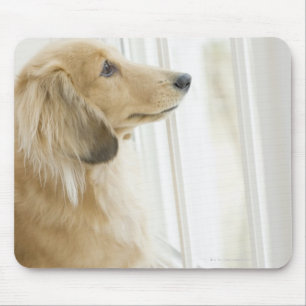 Tapis De Souris Chien regardant la fenêtre