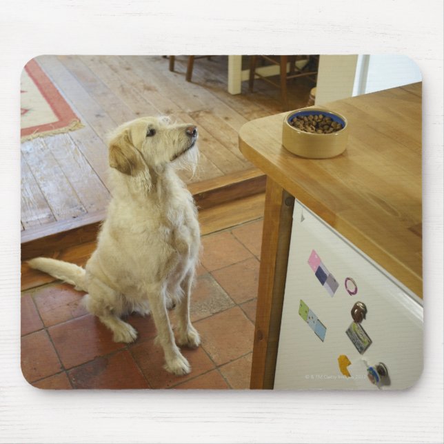 Tapis De Souris Chien regardant la nourriture sur la table. (Devant)