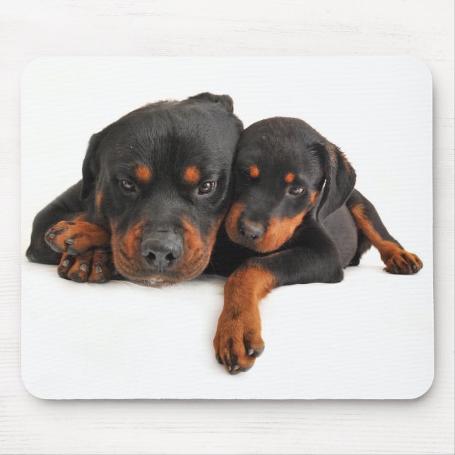 Tapis de souris Chien Rottweiler Blanc (Devant)