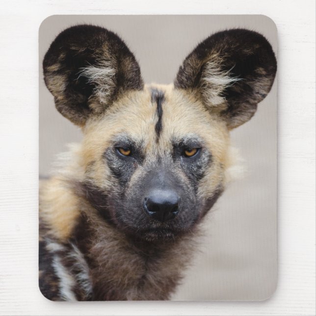 Tapis De Souris Chien sauvage africain (Chien peint) (Devant)