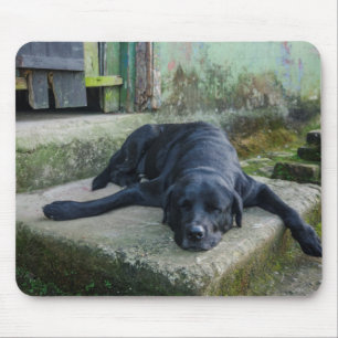 Tapis De Souris Chien somnolent