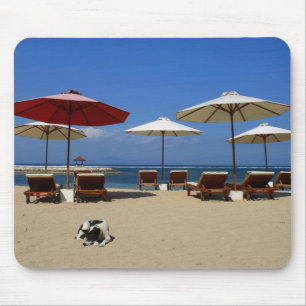Tapis De Souris Chien sur la plage