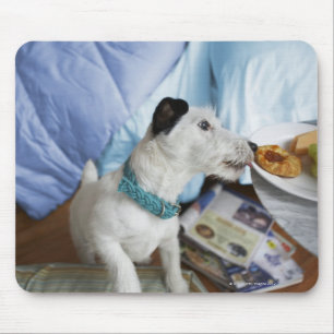 Tapis De Souris Chien terrier de Jack Russell